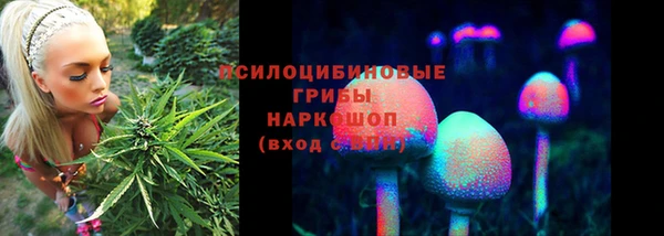 тгк Волоколамск