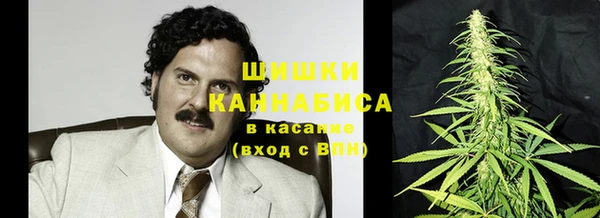 гидропоника Гусь-Хрустальный