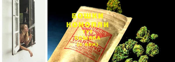 ГАЛЛЮЦИНОГЕННЫЕ ГРИБЫ Вяземский