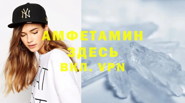 ГАЛЛЮЦИНОГЕННЫЕ ГРИБЫ Вяземский