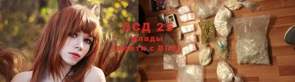 прущая мука Гусев