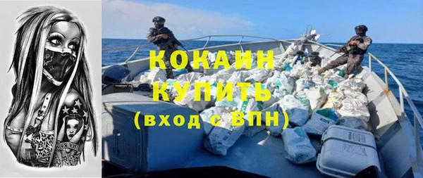 ГАЛЛЮЦИНОГЕННЫЕ ГРИБЫ Вяземский