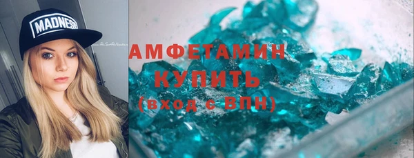 ГАЛЛЮЦИНОГЕННЫЕ ГРИБЫ Вяземский