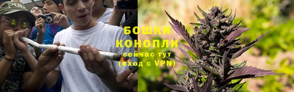 гидропоника Гусь-Хрустальный